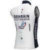 Heren Fietskleding Ale Bahrain Victorious 2024 Windvest