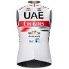 VAE TEAM EMIRATES 2023 wielerwindvest professioneel wielerteam